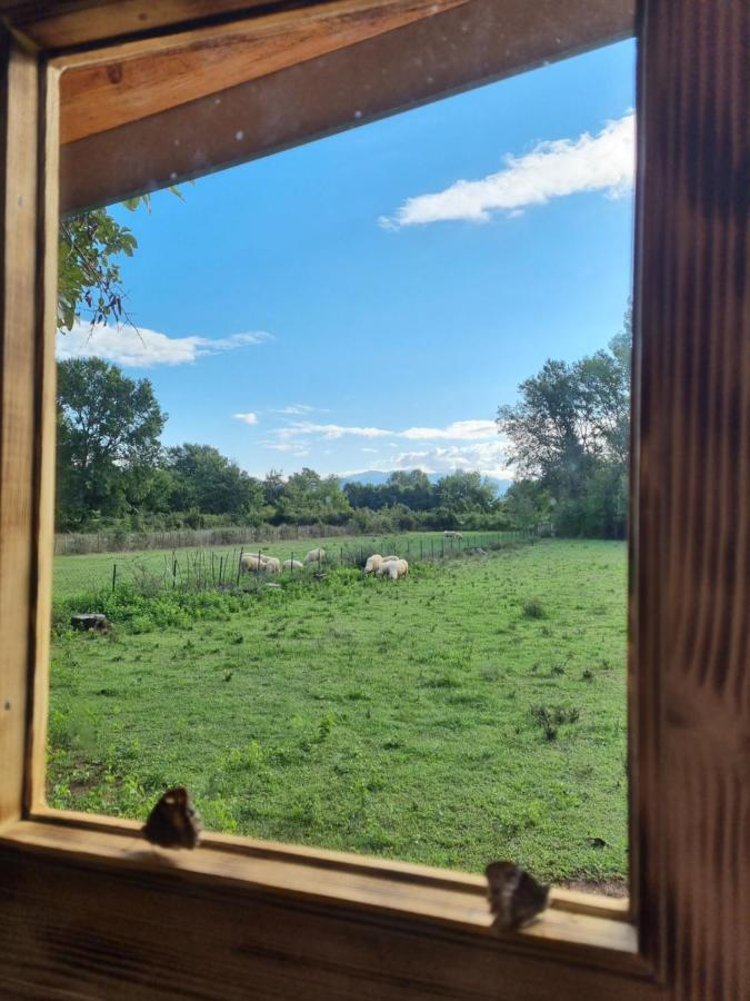 פודגוריצה Wolf & Sheep Nature & Adventure מראה חיצוני תמונה
