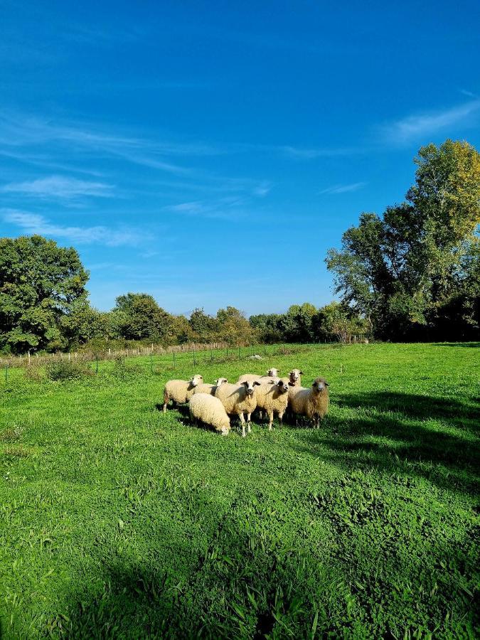 פודגוריצה Wolf & Sheep Nature & Adventure מראה חיצוני תמונה